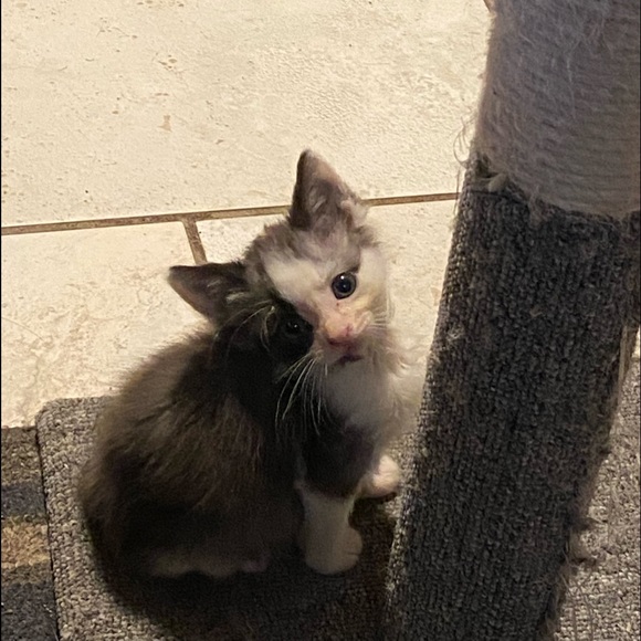 Meet your Posher, Dwana - Picture 10 of 16